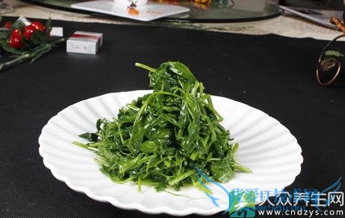 ��Ѫѹ�ܳ��㶹����