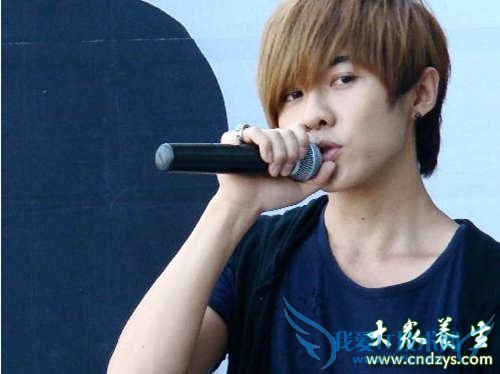 ����ʲô���ͺÿ�