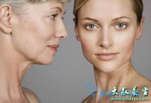 ����ߵ�����