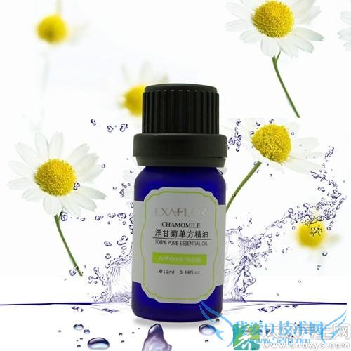 ����������ʾվ�����