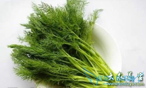 �����ܳ�������