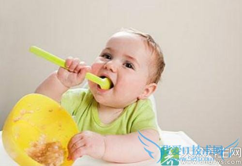 ���ι���ı���ʲôʱ�����Ӹ�ʳ