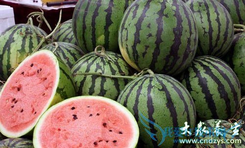 ʮ����ʳ���и�ʳ����Σ��(14)