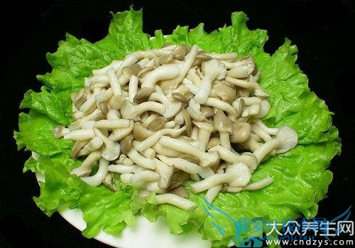 �����ܳԼ�����