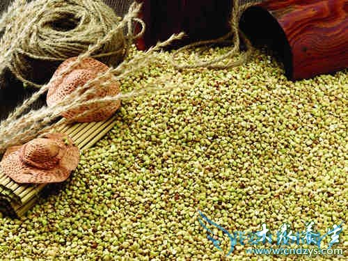 �и��ܳ�������