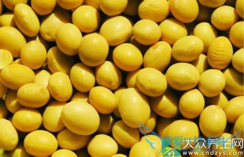 �������ܳԴ���