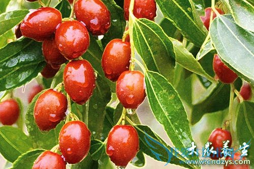 ����ȱ��ά����c�������з�(3)