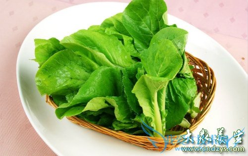 �����ܳ������