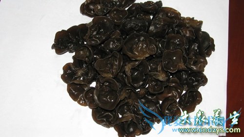 �������� ����Ҫ��ԾŴ�ʳ��(2)