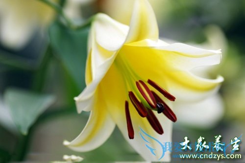 �������� ����Ҫ��ԾŴ�ʳ��(1)