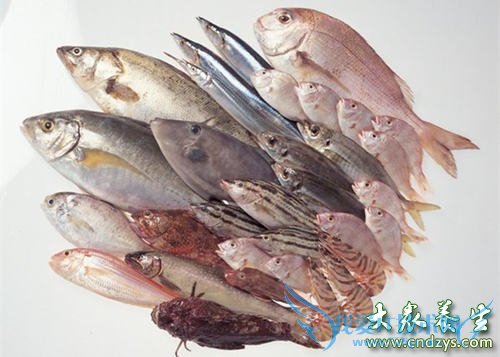 С����������7��ô�(6)