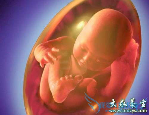 ������abo��Ѫ֢