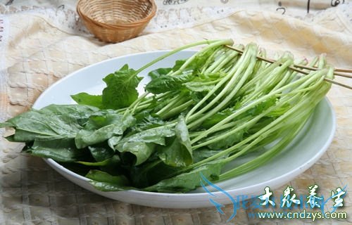 �ļ�������ʳ ���˵�Ϊ������ѡ