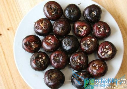 �������ܳ�ݩ����