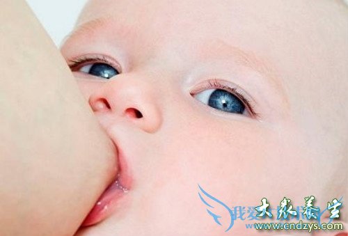 ĸ��ι�����ŵ�