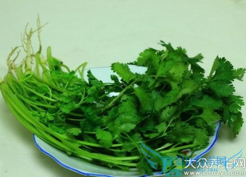 ���г����ܳ������