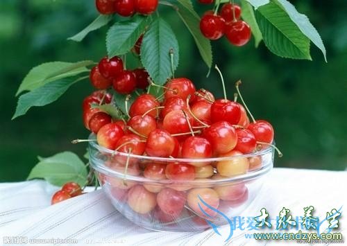 ���˽����ر�9����ʳ(7)