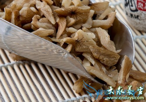 ���˽����ر�9����ʳ(3)