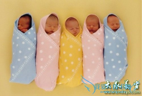 ����֪��̥���Ա�