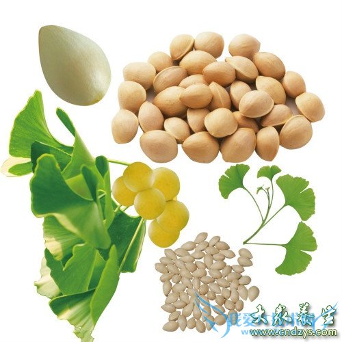 �׹����Ƹ��Ʋ�