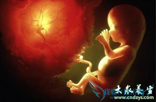 ����ƾ����ܿ���˳����