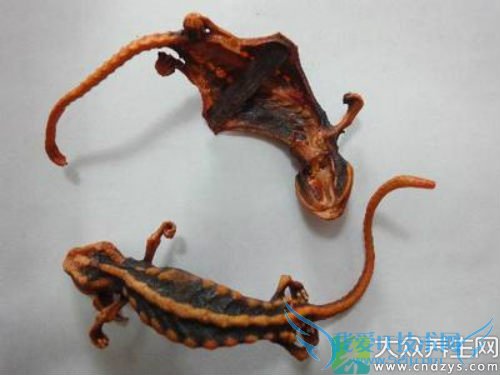 �����ܳԸ����