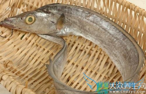 �����ܳԴ�����