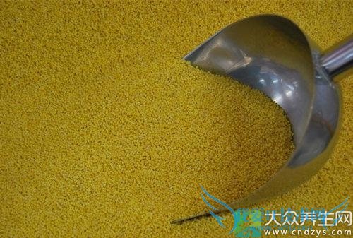 �׶����Գ�С��