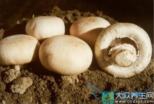 ��Ѫѹ�ܳԿ�Ģ��