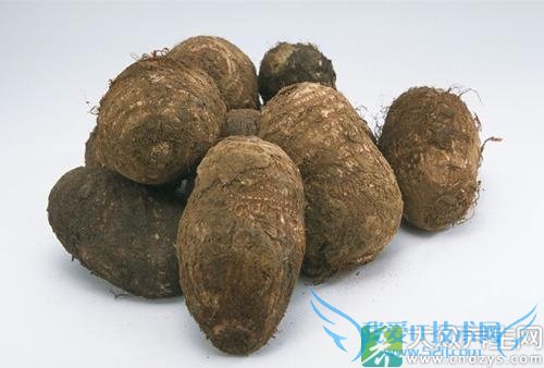 ��ð���Գ���ͷ��