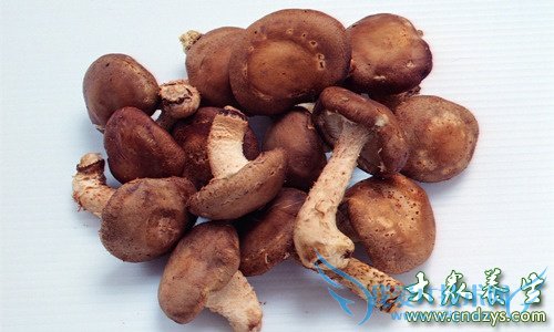 �����˶����ٹ���˥�ߵ�ע������