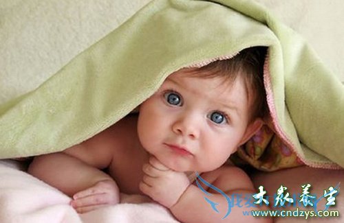 �ʸ�����Ӧ�ó�ʲô��