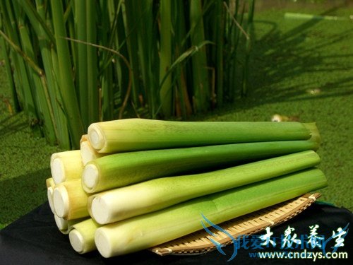 �����ܳ�������