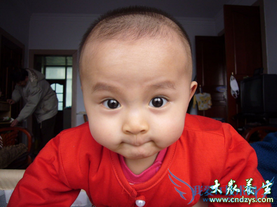 �����Ը������16����(12)