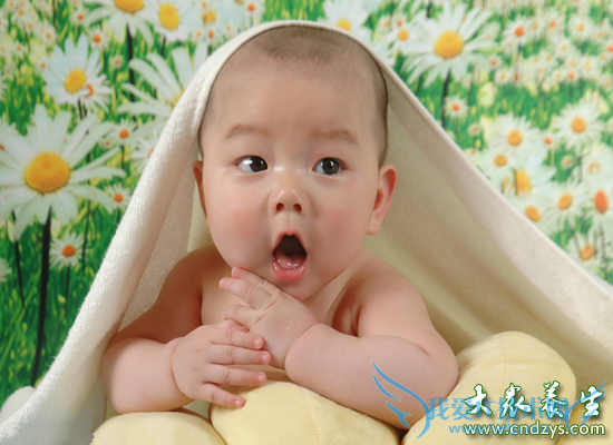 �����Ը������16����(15)