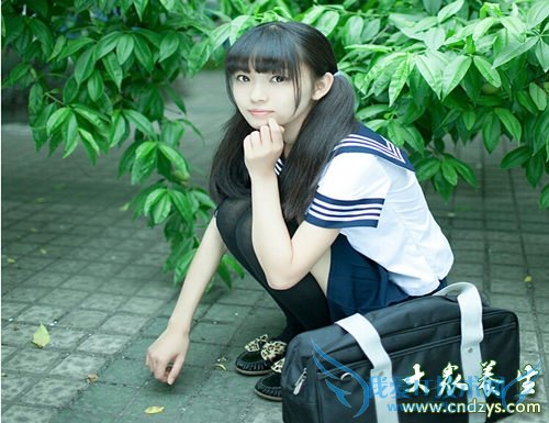 �˽�Ƥ���ɳڵ�11������(12)