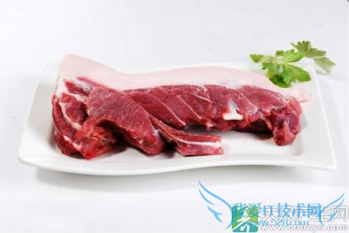 �����ܳ�Ұ������