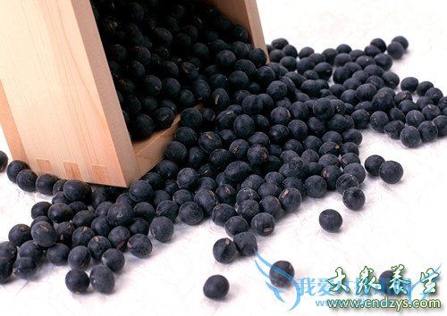 �и��ܳ���ݮ��