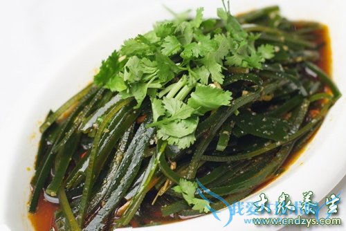 ��֤�͸�Ѫѹʳ�Ʒ�  (6)