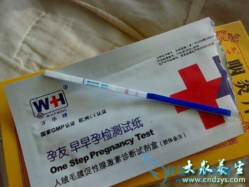 ����ֽʲôʱ����