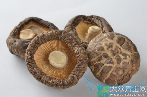 �����ܳԶ�����