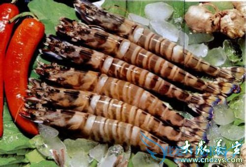 �и��ܳ԰߽ڶ�Ϻ��