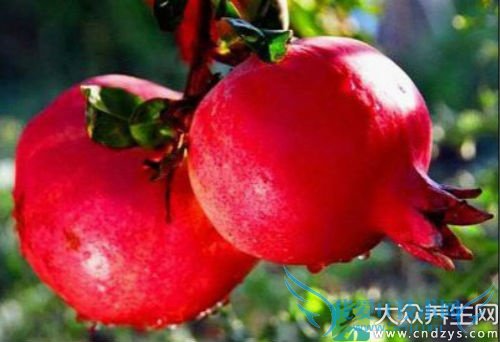 �������ܳ�ʯ����