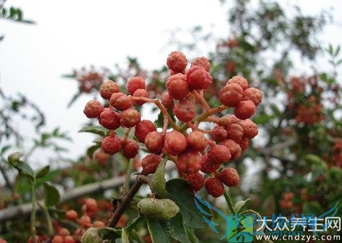 ��Ѫѹ�ܳԻ�����