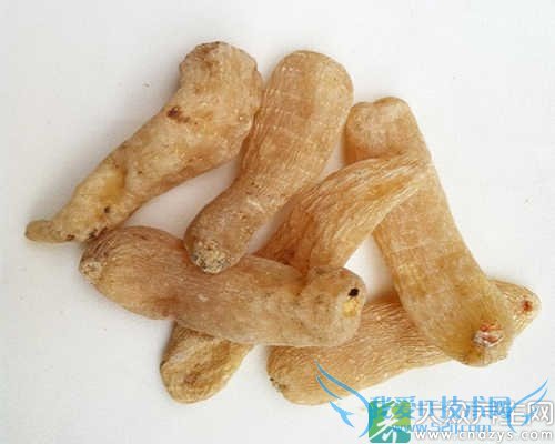 �и��ܳ�������