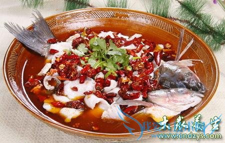 ���յĸ���������������ֻ�ǻ�����֮�ز��ǻ�԰(2)