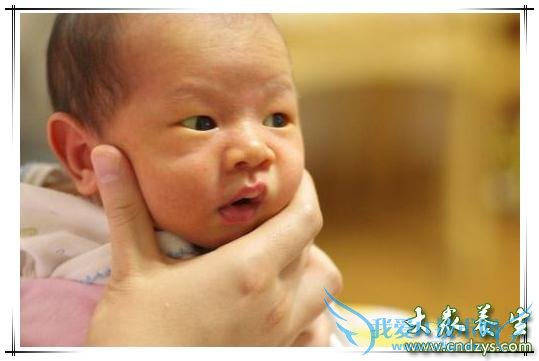 �����Ի���Ľ�ʳ��ʾ���°�������Ҫ�˽�Ŷ(1)