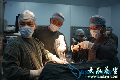 Ů��6��������ѪӦ������(6)