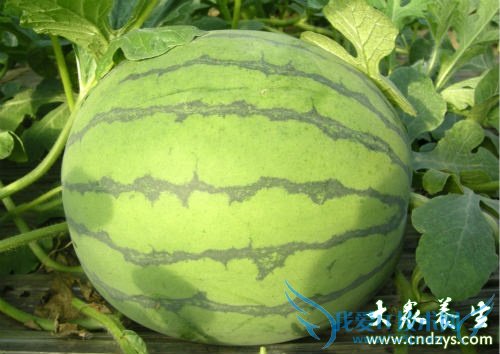 �и�������Ҫ����