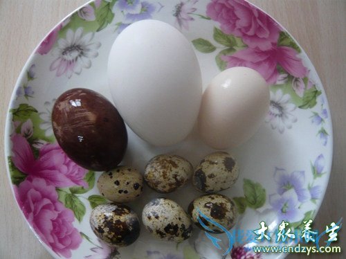 ���ú��Ӵ�����������ʮ�ֽ���ʳ��!(2)